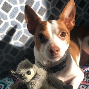 Meet your Posher, Mara